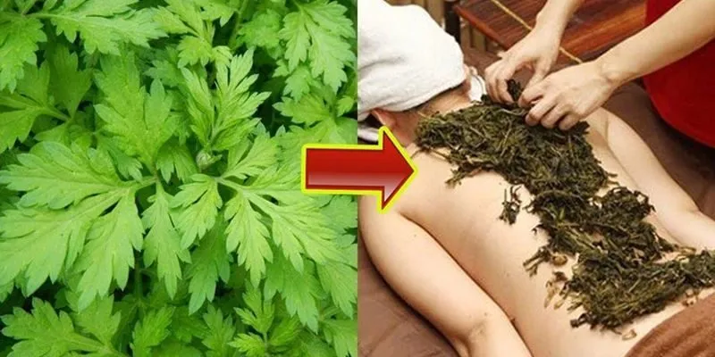 Bài thuốc chữa thoát vị đĩa đệm