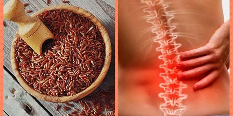 điều trị Thoát vị đĩa đệm bằng gạo lứ