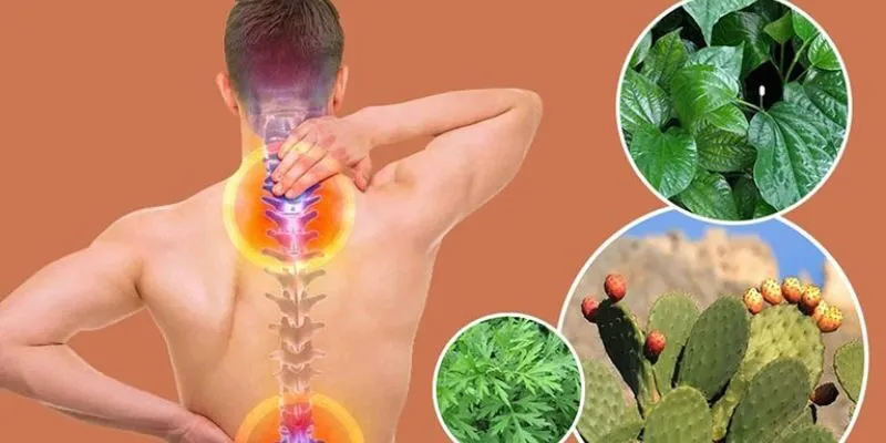 chữa thoát vị đĩa đệm