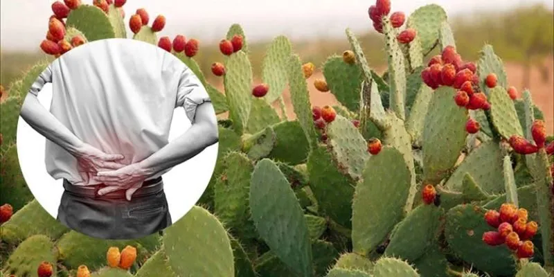 chữa thoát vị đĩa đệm