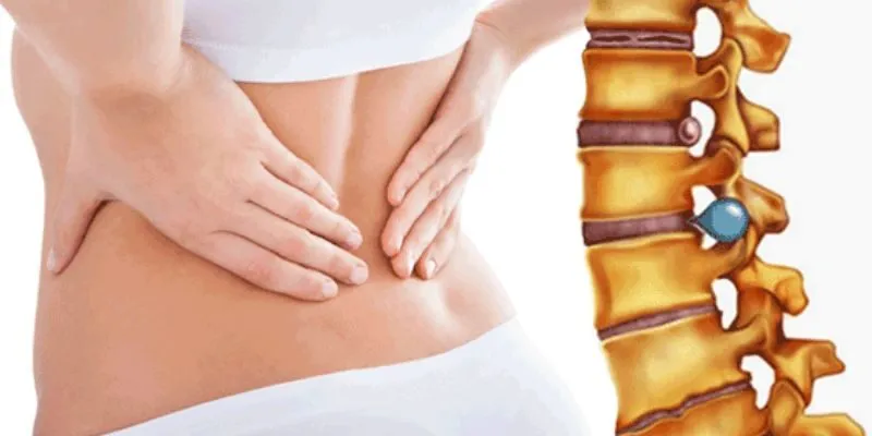 Đĩa đệm, điểm tựa của cột sống